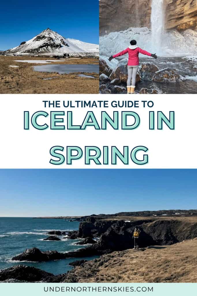 Iceland in spring pin