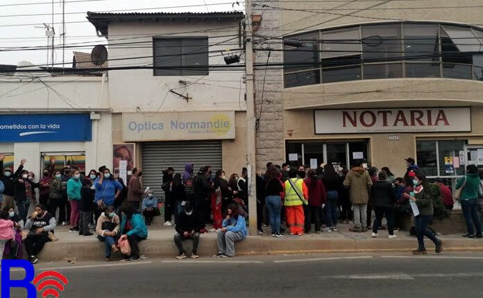 Quinteranas y Quinteranos