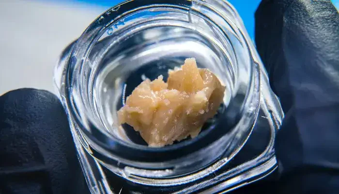 Sat & Sun Dab Days