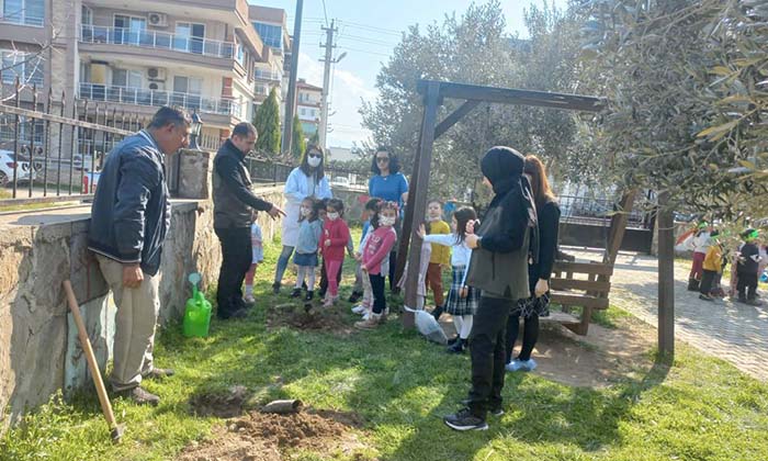 Minikler okul bahçesine fidan dikti