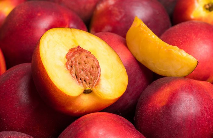 nectarines for dogs