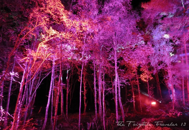 My First UK Driving Experience 6 All of the horror was well worth it. I made it to the Enchanted Forest Event just in time.