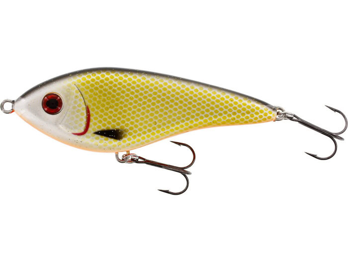 p036_155_023 Jerk WESTIN Swim Glidebait - Offical Roach - Pilt 1