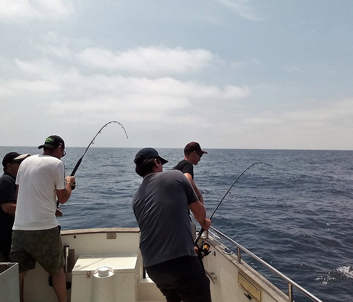 Dispersion de cendres