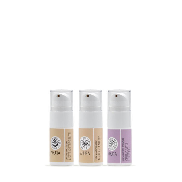 Vitis Kit - Image 2