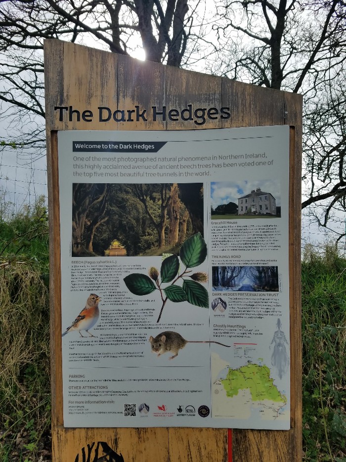 Game of thrones filming locations in northern ireland, dark hedges, kingsroad