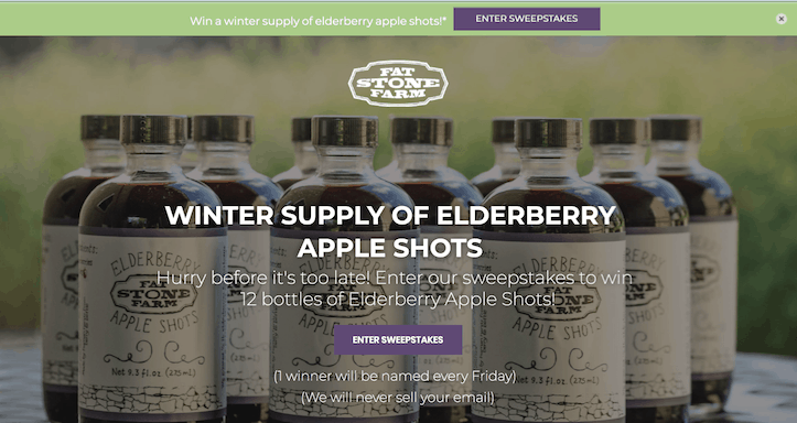 Fat Stone Farm email marketing campaign