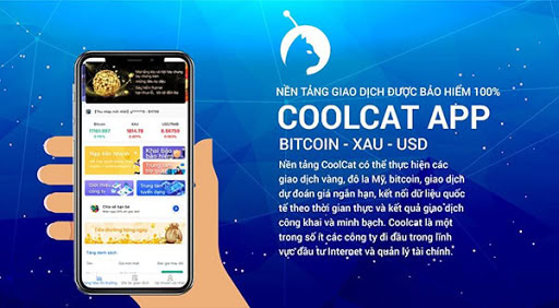 Sập sàn Coolcat - Nhà đầu tư gặt "trái đắng"