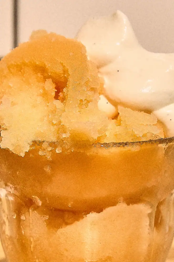cantaloupe sorbetto detail