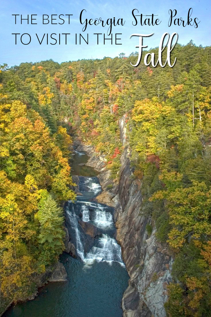 Georgia State Parks in the fall