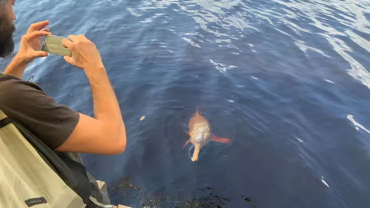 Desde Manaus: Experiencia de un día en la selva amazónica - Fulloutdoor
