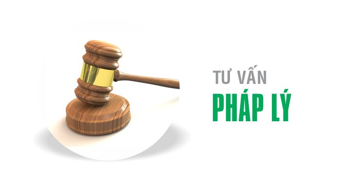 tu-van-phap-ly-cho-doanh-nghiep