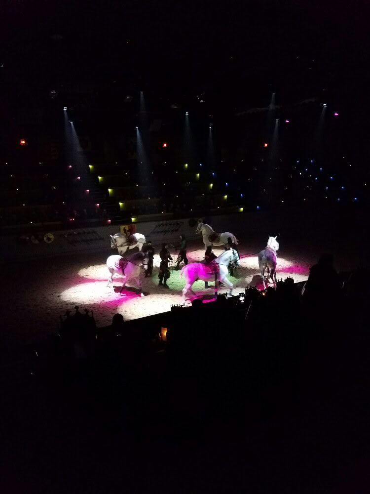 Medieval Times Atlanta Castle