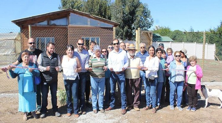 proyectos