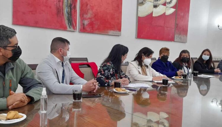 Ministra Siches
