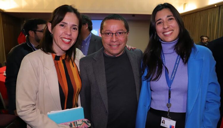 Delegado Presidencial