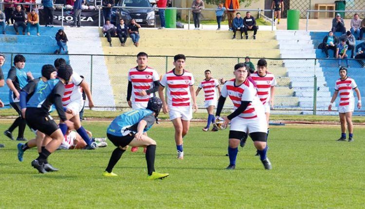 Albatros Rugby