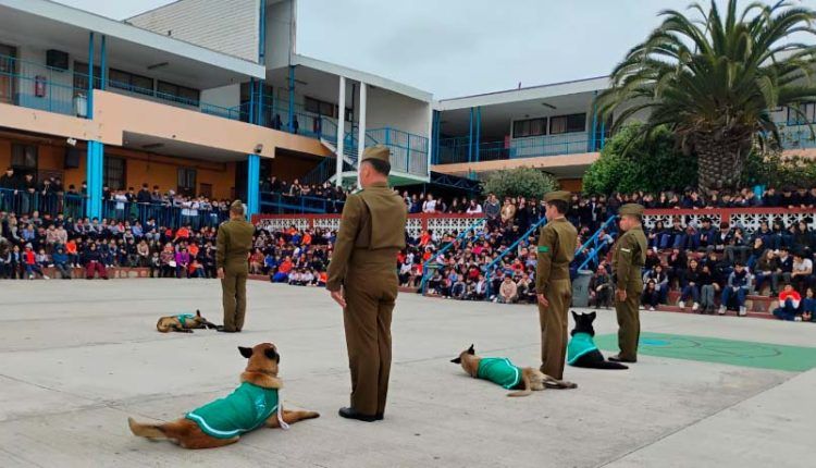 Carabineros