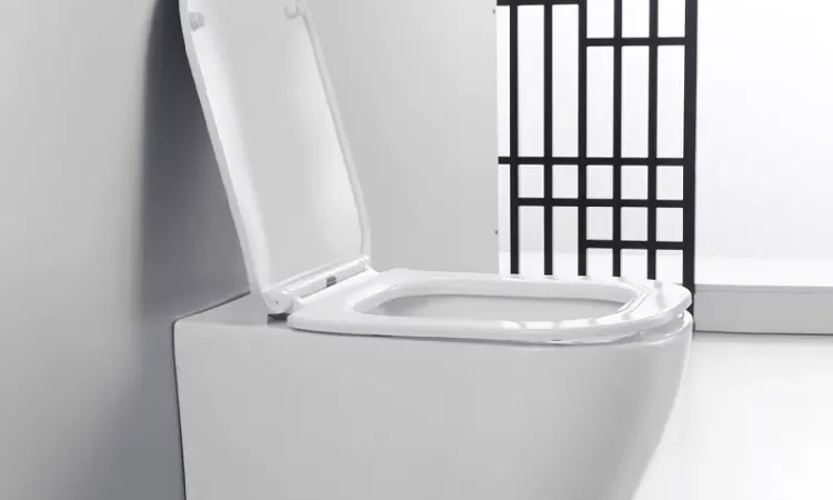 Closet monoblock, Sumber: alicdn.com