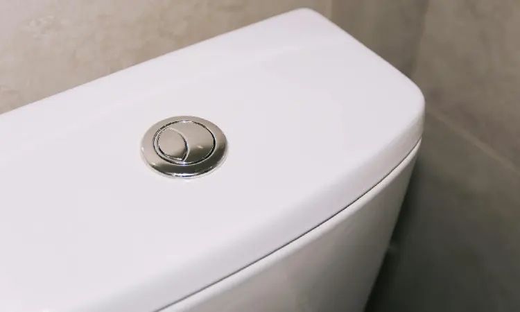 Double flush, Sumber: pexels.com