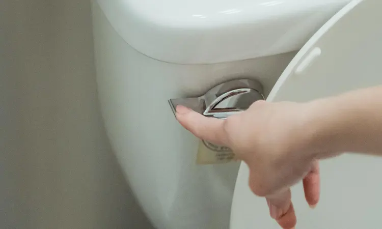 Single flush, Sumber: pexels.com