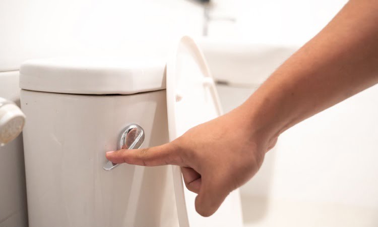 Tombol flush toilet, Sumber: thespruce.com