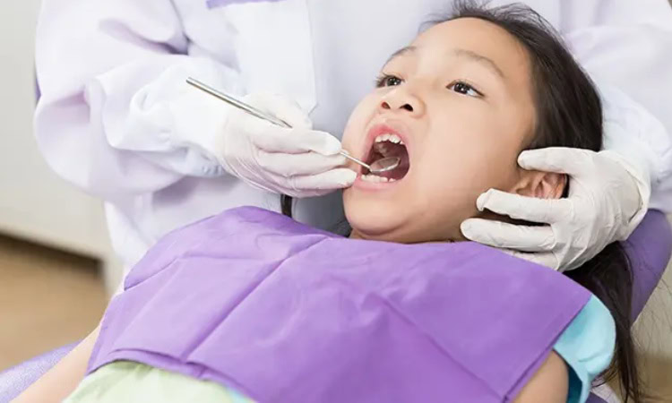 Dokter gigi anak, Sumber: halodoc.com