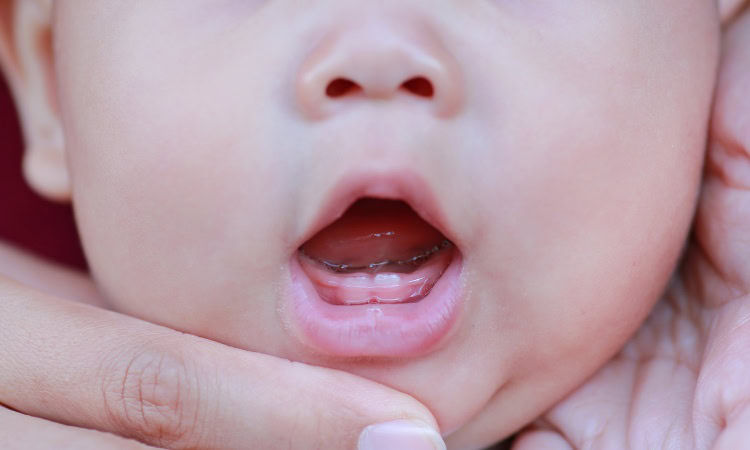 Pertumbuhan gigi susu bayi, Sumber: genbest.id