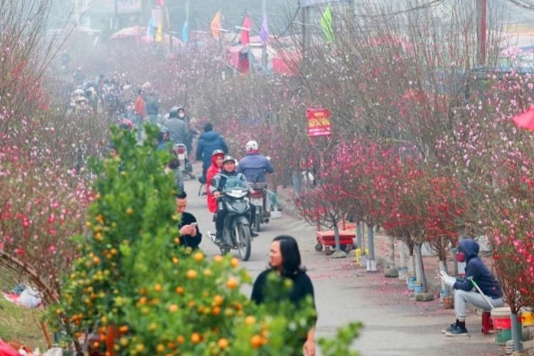 Tết cổ truyền là gì? Nguồn gốc và ý nghĩa Tết Việt Nam