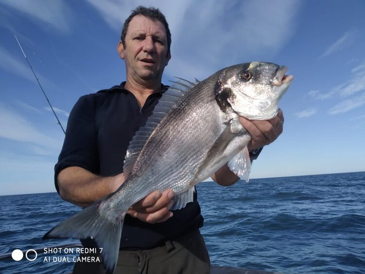 Dispersion de cendres