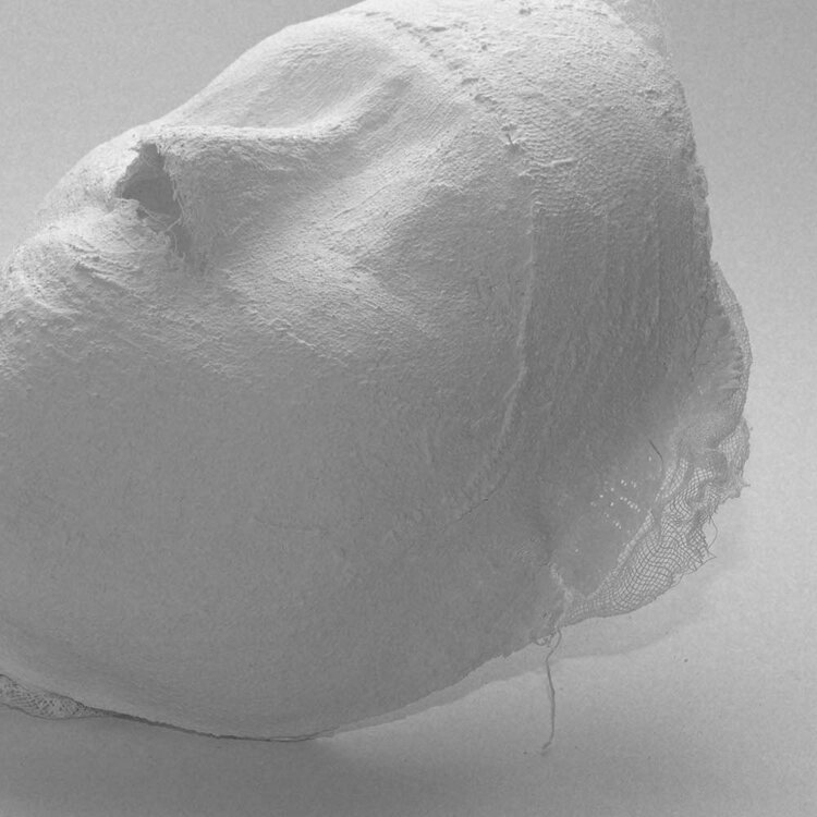 Facial Mask Application for Skin Care Therapy