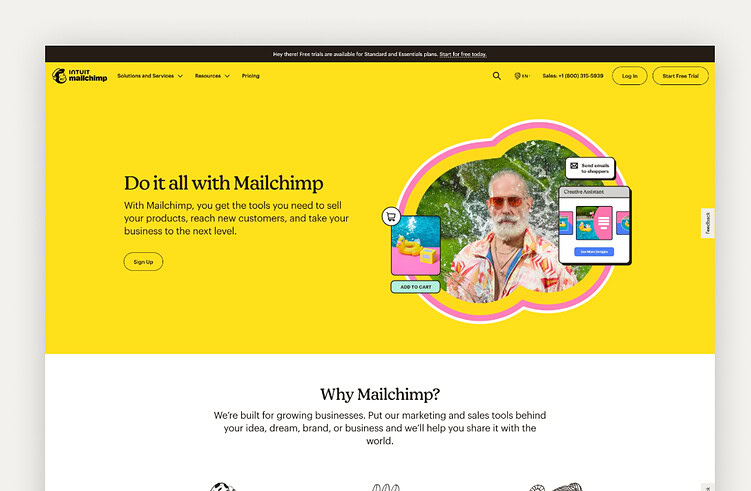 Mailchimp landing page example