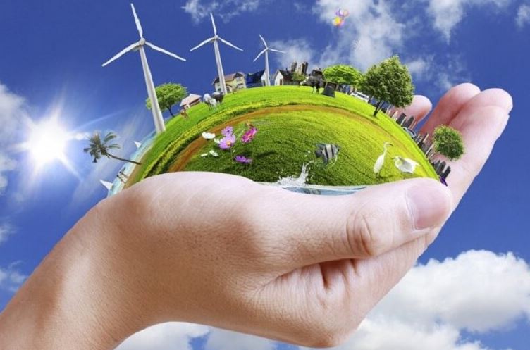 Hành vi hủy hoại rừng có bị xử lý hình sự không?