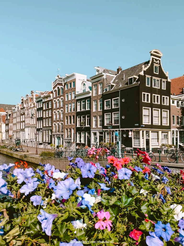 Rich results on Google's SERP when searching for ‘เรื่องน่ารู้ก่อนไปเที่ยวอัมสเตอร์ดัม’, ‘เที่ยวอัมสเตอร์ดัม (Amsterdam)’, เที่ยวอัมสเตอร์ดัม’, ‘Amsterdam’, ‘อัมสเตอร์ดัม การเดินทาง’, ‘อัมสเตอร์ดัมท่องเที่ยว’, ‘อัมสเตอร์ดัม สถานที่ท่องเที่ยว’, ‘พิพิธภัณฑ์ในอัมสเตอร์ดัม’, and ‘วางแผนเที่ยวอัมสเตอร์ดัม’