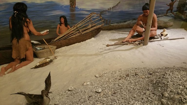 Native Culture in the USA, South Florida museum, bradenton, native america in bradenton