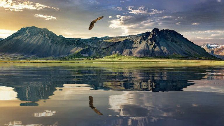 Facts about New Zealand