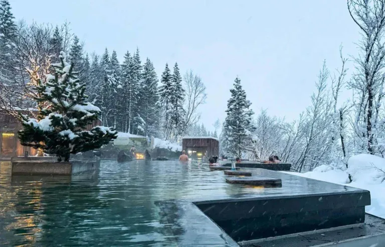 The Forest Lagoon in Iceland