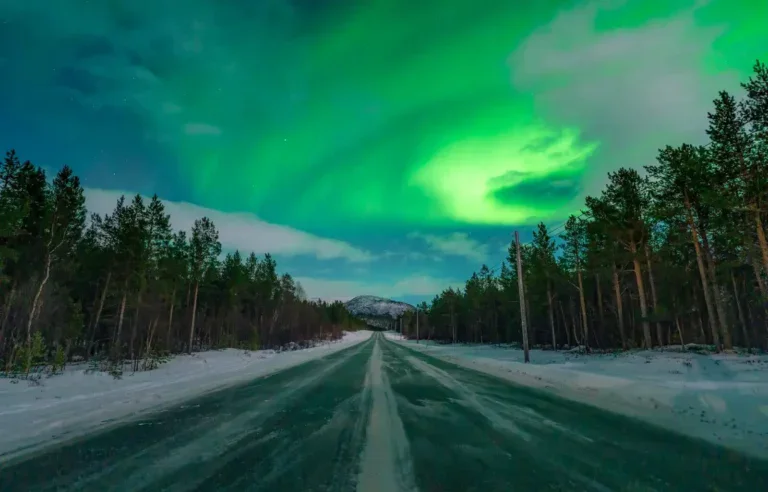 A couple stands on a snowy road at night, surrounded by a dense forest, as the vibrant green Northern Lights dance across the sky above them. The woman wears a yellow winter jacket, a beanie, and warm boots, while the man is dressed in dark outdoor clothing. Both are smiling, enjoying the breathtaking Arctic scenery.