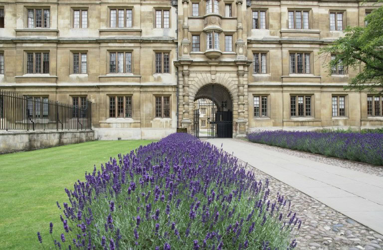 things to do in cambridge