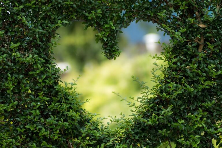 the history of valentine's day