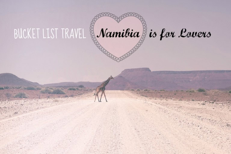 African Safari Namibia