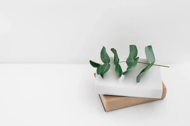 A flatlay of a brown paper-wrapped gift topped with white paper and eucalyptus leaves. The background is a clean, white surface.