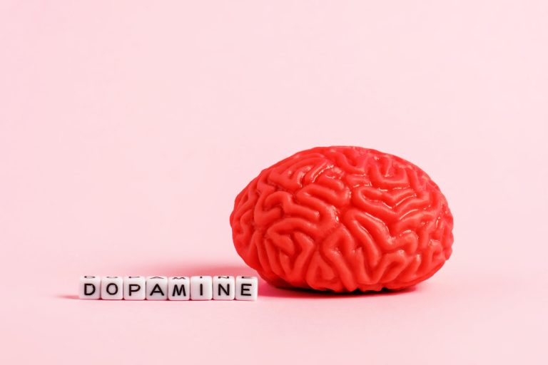 Dopamine Fasting Dopamine Fasting