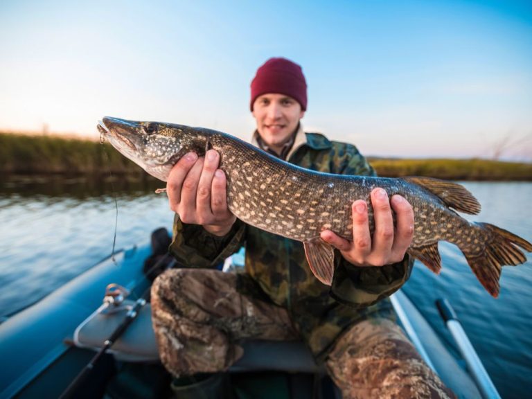 best fishing apps