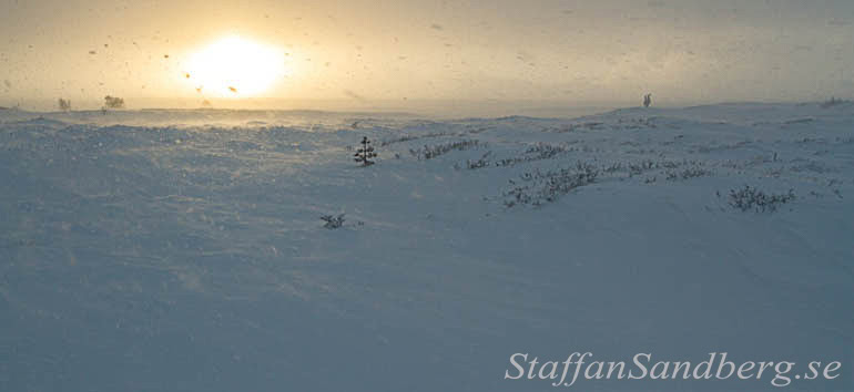 Solnedgång
