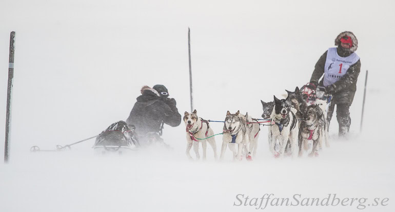 Fotografering av hundspann