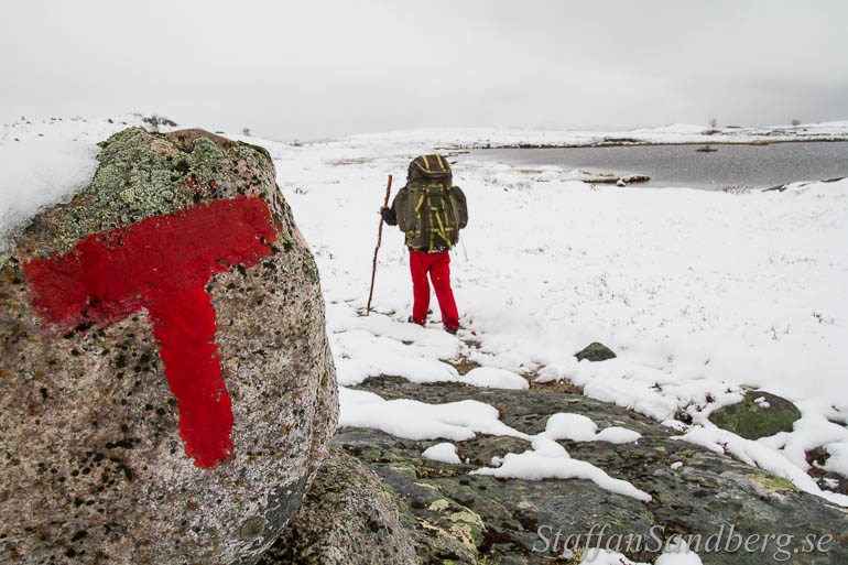 Vandrar i snö