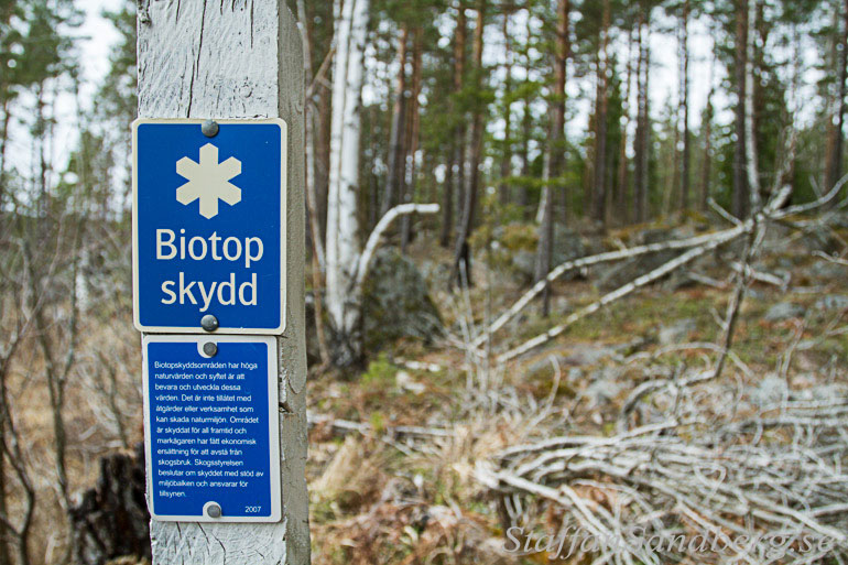 Skyddat område