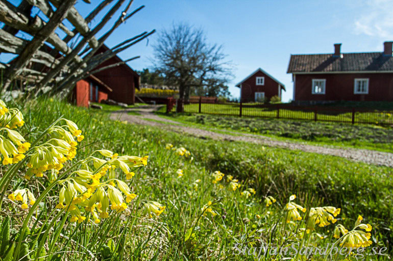 Långmaren