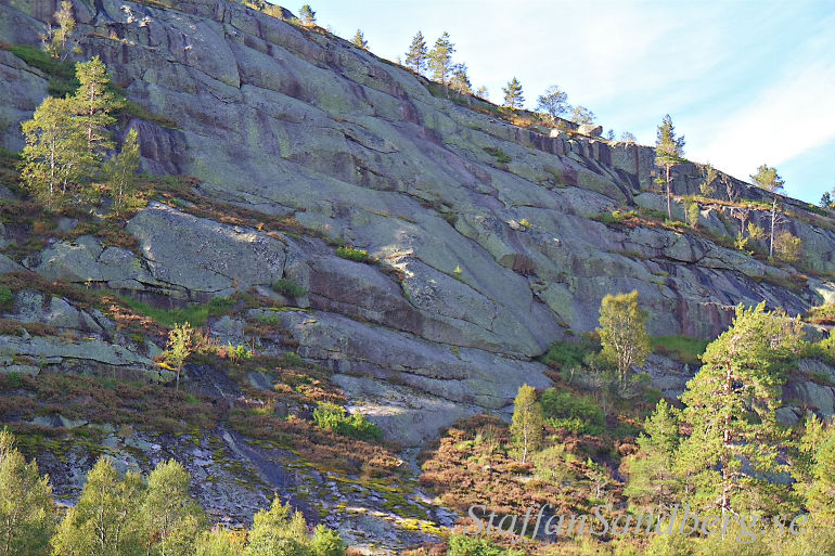 Berg